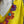 Load image into Gallery viewer, 26N145 Coneflower Combo Necklace-A Spring Mix
