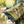 Load image into Gallery viewer, MOTS The Goddess Duster
