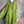 Load image into Gallery viewer, 91750S Stripe Big Shirt-KIWI
