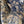 Load image into Gallery viewer, ARB Hand Painted Bandana-Sage
