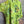 Load image into Gallery viewer, 91225 Flower Garden Linen Top-Kiwi
