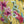 Load image into Gallery viewer, 90847G Garden Tea Party Dress-Mango
