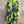 Load image into Gallery viewer, 91307T-62 Ruffle Tie-Dye Tunic-Kiwi
