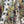 Load image into Gallery viewer, MOTS Opera Duster Kimono Robe-Golden Hour
