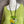 Load image into Gallery viewer, MP-HLT561 Ruffle Hem Top-Kiwi
