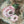 Load image into Gallery viewer, ARB Hand Painted Bandana-Sage
