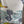 Load image into Gallery viewer, T1196 Vneck Dolman High-low Top-CAT-Astrophy
