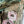 Load image into Gallery viewer, ARB Hand Painted Bandana-Sage
