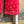 Load image into Gallery viewer, 5791 Bandana Crop Pant-RED
