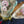 Load image into Gallery viewer, ARB Hand Painted Bandana-Sage
