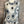 Load image into Gallery viewer, ACD544 3/4 Slv Smash Dress-Silver Flower Spot
