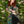 Load image into Gallery viewer, MOTS The Goddess Duster
