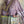 Load image into Gallery viewer, D540 Waffle Knit Cowlneck Dress in colorful abstract cat print with long sleeves and midi length - 12
