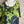 Load image into Gallery viewer, 91307T-62 Ruffle Tie-Dye Tunic-Kiwi
