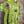 Load image into Gallery viewer, 91877-52 Artful Bloom Dress-Kiwi
