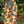 Load image into Gallery viewer, MOTS Linen Crop Artist Pant-Stay Gold
