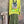 Load image into Gallery viewer, Lime green knit top with Never Grow Up graphic print, styled with green chain ring necklace and olive pleated skirt - 2
