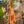 Load image into Gallery viewer, MOTS Opera Duster Kimono Robe-Secret Garden

