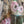 Load image into Gallery viewer, ARB Hand Painted Bandana-Sage

