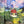 Load image into Gallery viewer, Inoah's Artful 2 Look Raincape-Cats Dream
