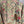 Load image into Gallery viewer, ARB Reversible Strawberry Jacket
