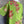 Load image into Gallery viewer, 90645-62 Rose Pocket Tunic-KIWI
