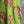 Load image into Gallery viewer, 90645-62 Rose Pocket Tunic-KIWI
