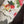 Load image into Gallery viewer, PL-H629 Garden Blooms Cardi
