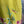 Load image into Gallery viewer, 90847G Garden Tea Party Dress-Mango
