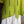 Load image into Gallery viewer, 6653S Stripe Top-KIWI
