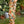 Load image into Gallery viewer, MOTS Linen Crop Artist Pant-Stay Gold

