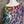 Load image into Gallery viewer, BBZ-033 Summer Sweaters— Panthera
