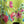 Load image into Gallery viewer, 90847G Garden Tea Party Dress-Kiwi
