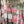 Load image into Gallery viewer, Tie-dye floral kimono duster in pink and olive with gold rose print, styled with colorful disc necklace - 4
