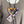 Load image into Gallery viewer, 26N263 Big Heart Bolo Necklace-Purples Mix
