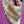 Load image into Gallery viewer, ARB Hand Painted Bandana-Magenta
