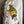 Load image into Gallery viewer, 4842 Upcycled Wearable Art Jkt-Ralphies Gals
