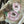 Load image into Gallery viewer, ARB Hand Painted Bandana-Sage
