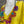 Load image into Gallery viewer, 26N145 Coneflower Combo Necklace-A Spring Mix
