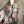 Load image into Gallery viewer, PLC220 Wanderlust Wine Duster
