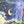 Load image into Gallery viewer, Inoah's Artful 2 Look Raincape-Cats Dream
