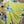 Load image into Gallery viewer, 91266A Art to Wear Flower Shirt-Lime
