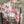 Load image into Gallery viewer, PLC220 Wanderlust Wine Duster
