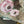 Load image into Gallery viewer, ARB Hand Painted Bandana-Sage
