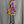 Load image into Gallery viewer, 26N144 Double Daisy Bolo Necklace-C MIX

