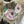 Load image into Gallery viewer, ARB Hand Painted Bandana-Sage
