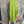 Load image into Gallery viewer, 91750S Stripe Big Shirt-KIWI
