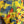Load image into Gallery viewer, Z6653 Painters Top-Lemon
