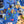 Load image into Gallery viewer, Inoah's Artful 2 Look Raincape-Curious Bots
