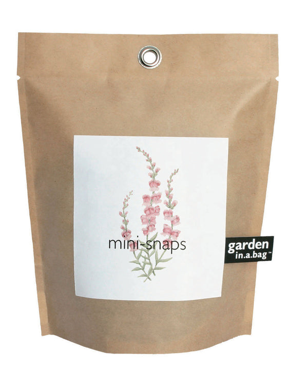 CGBSNAP Garden In A Gift Bag-Snapdragons
